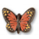 papillon orange